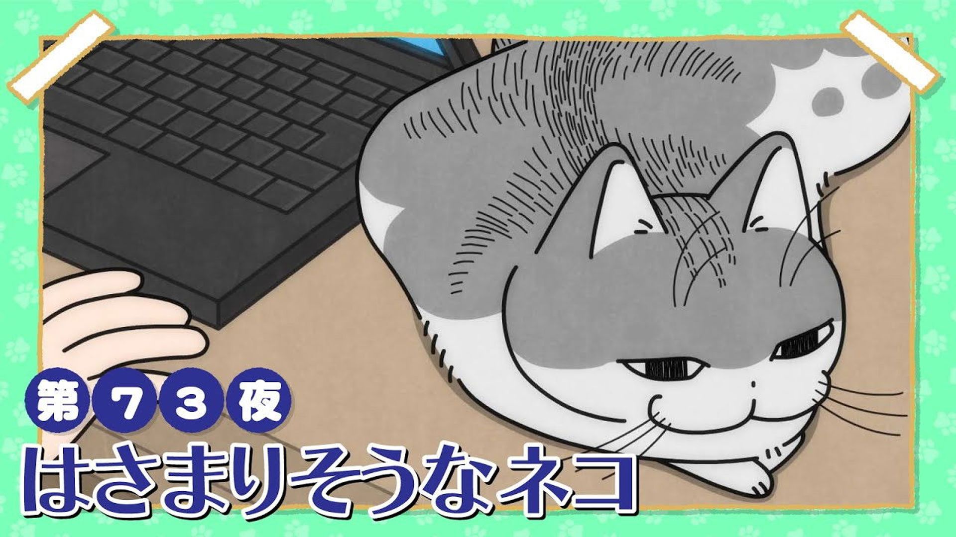 Yoru wa Neko to Issho background