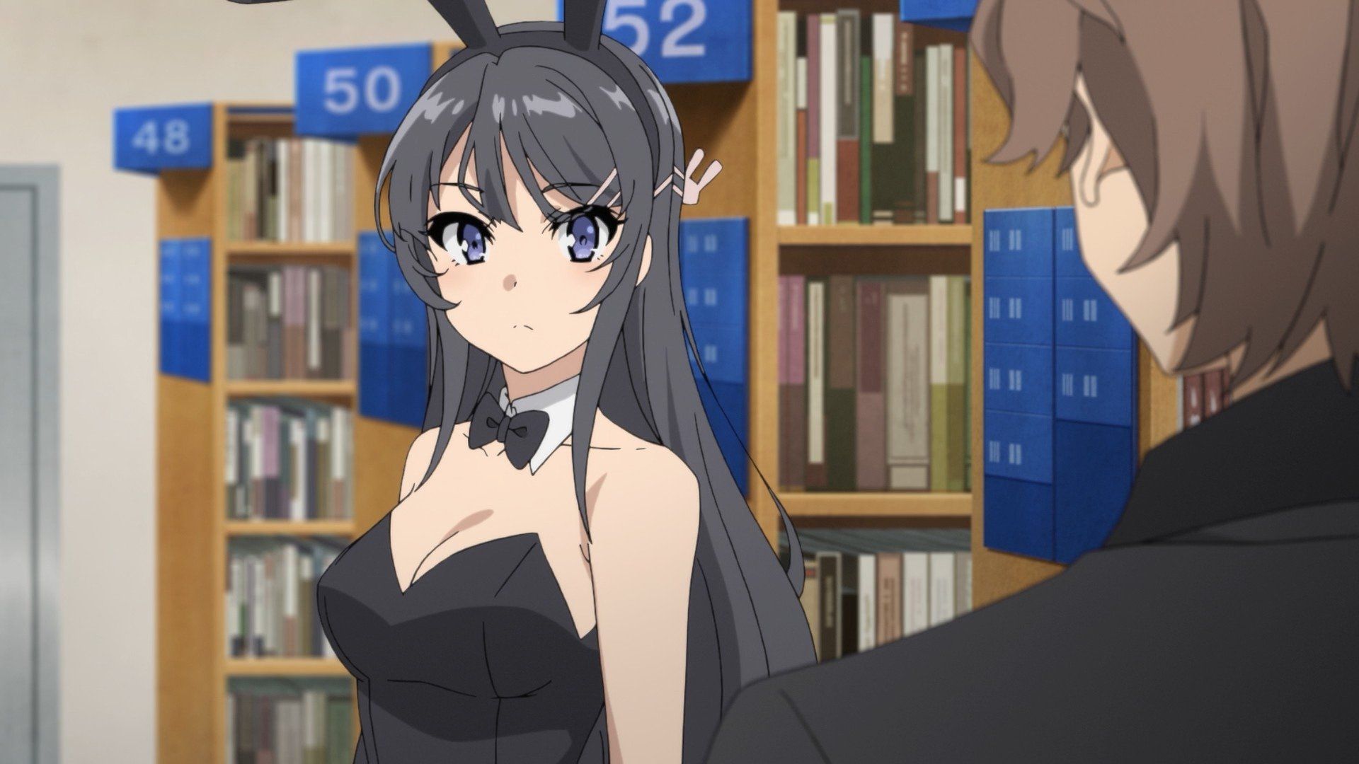 Rascal Does Not Dream of Bunny Girl Senpai background