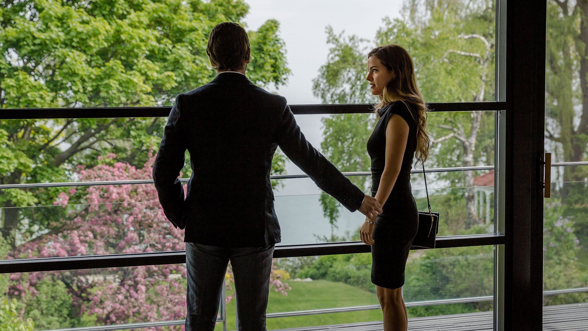 The Girlfriend Experience background
