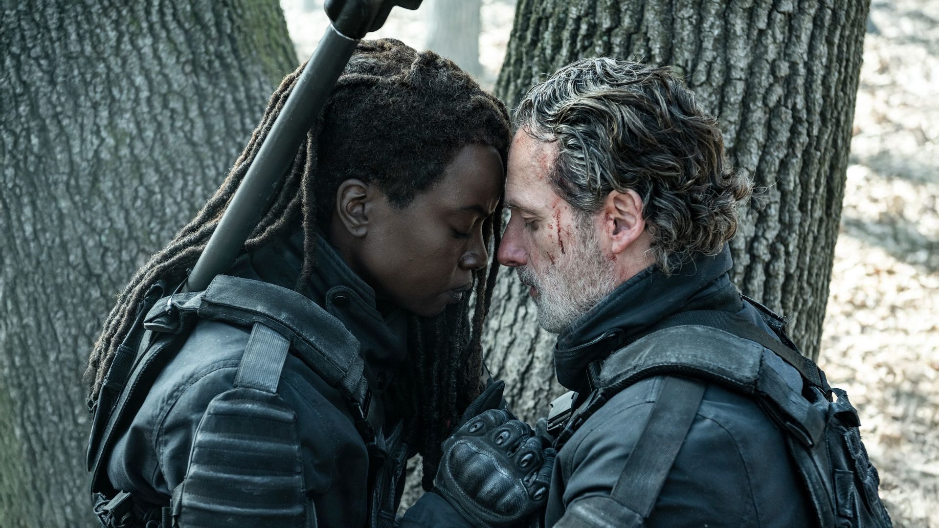 The Walking Dead: The Ones Who Live background