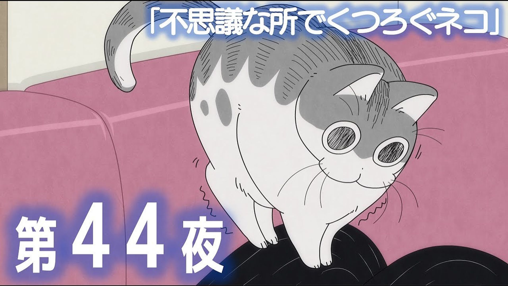 Yoru wa Neko to Issho background