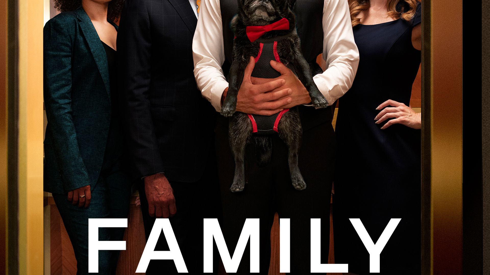 Family Law background