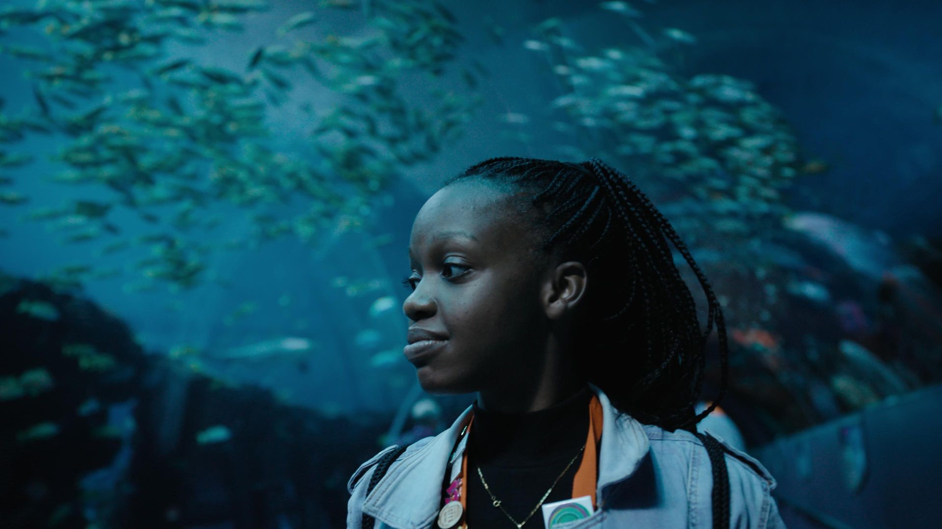 Science Fair: The Series background