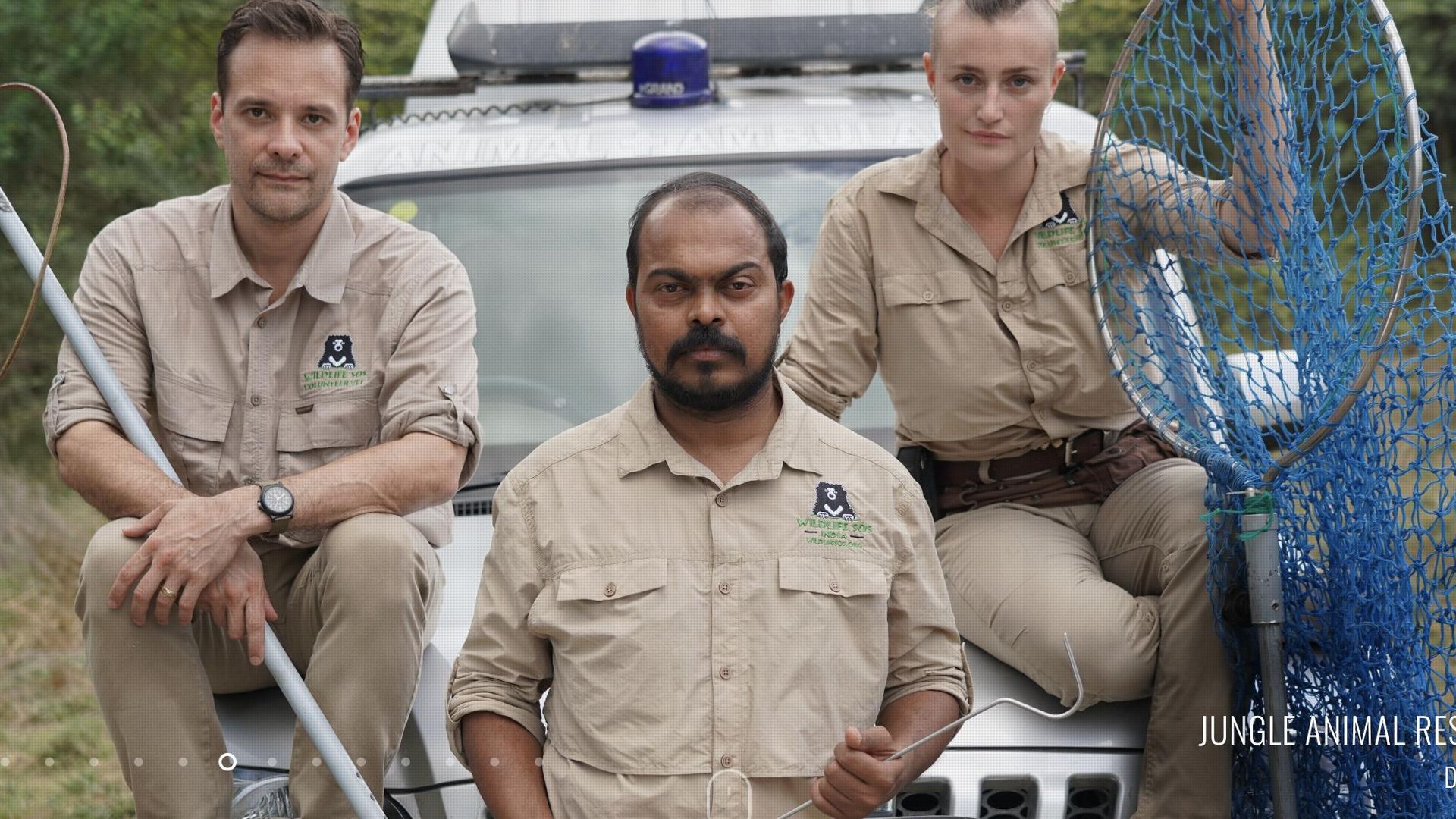 Jungle Animal Rescue background