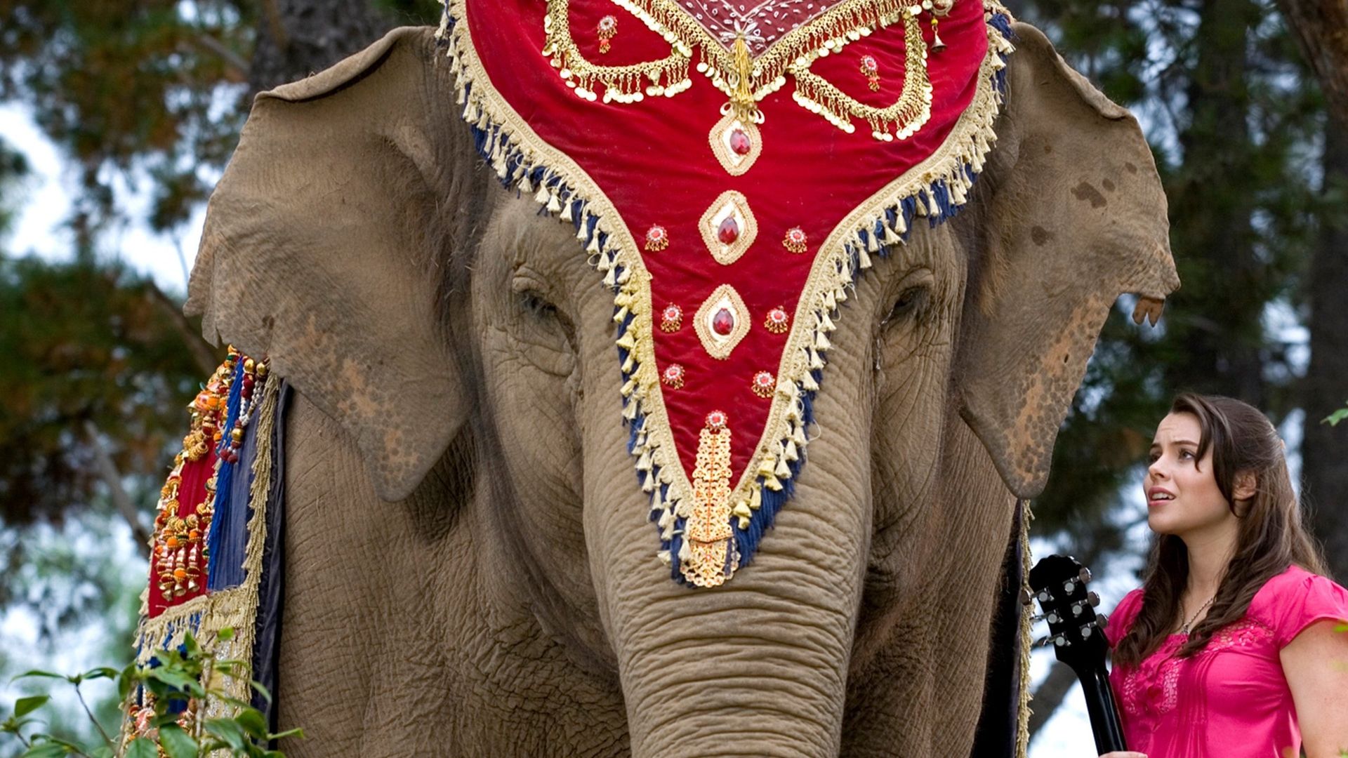 The Elephant Princess background