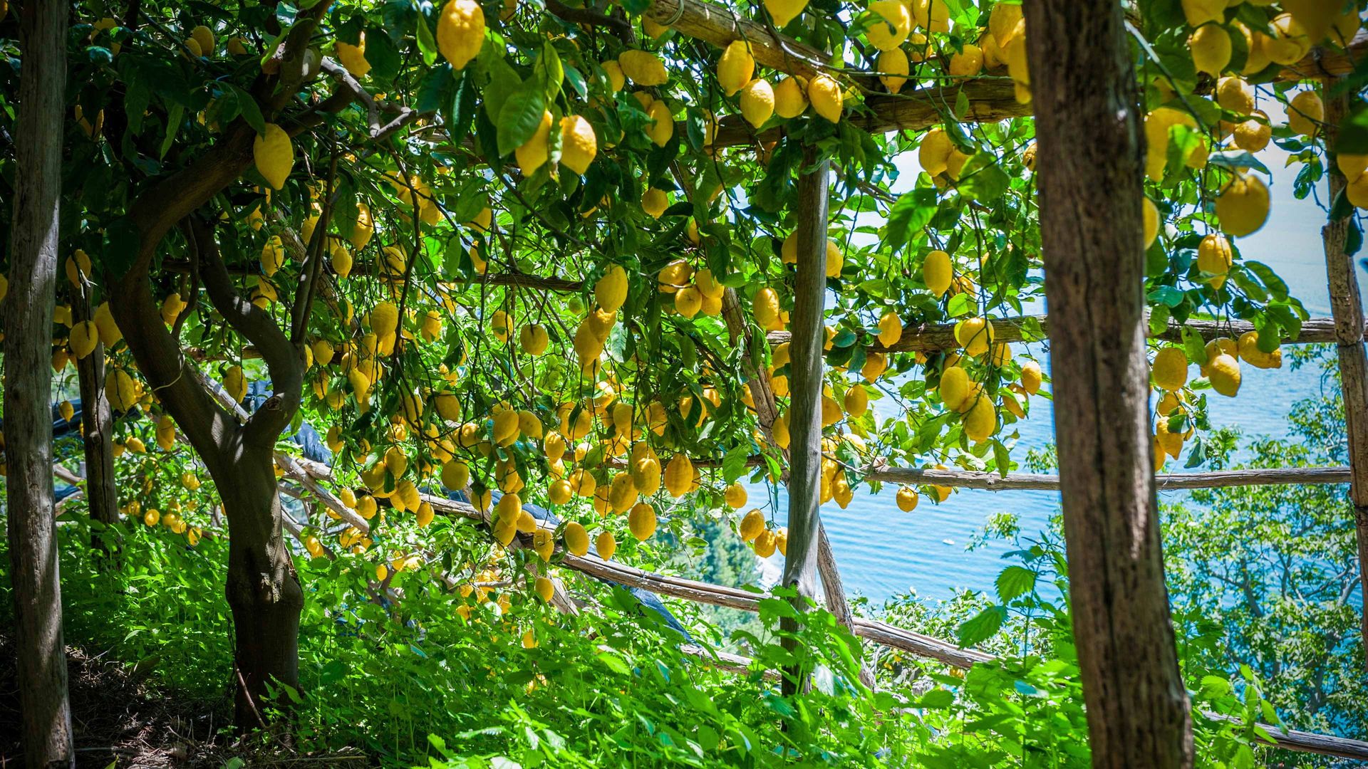 James Martin's Mediterranean background