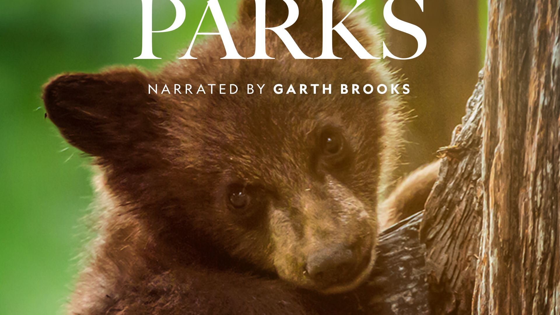 America's National Parks background