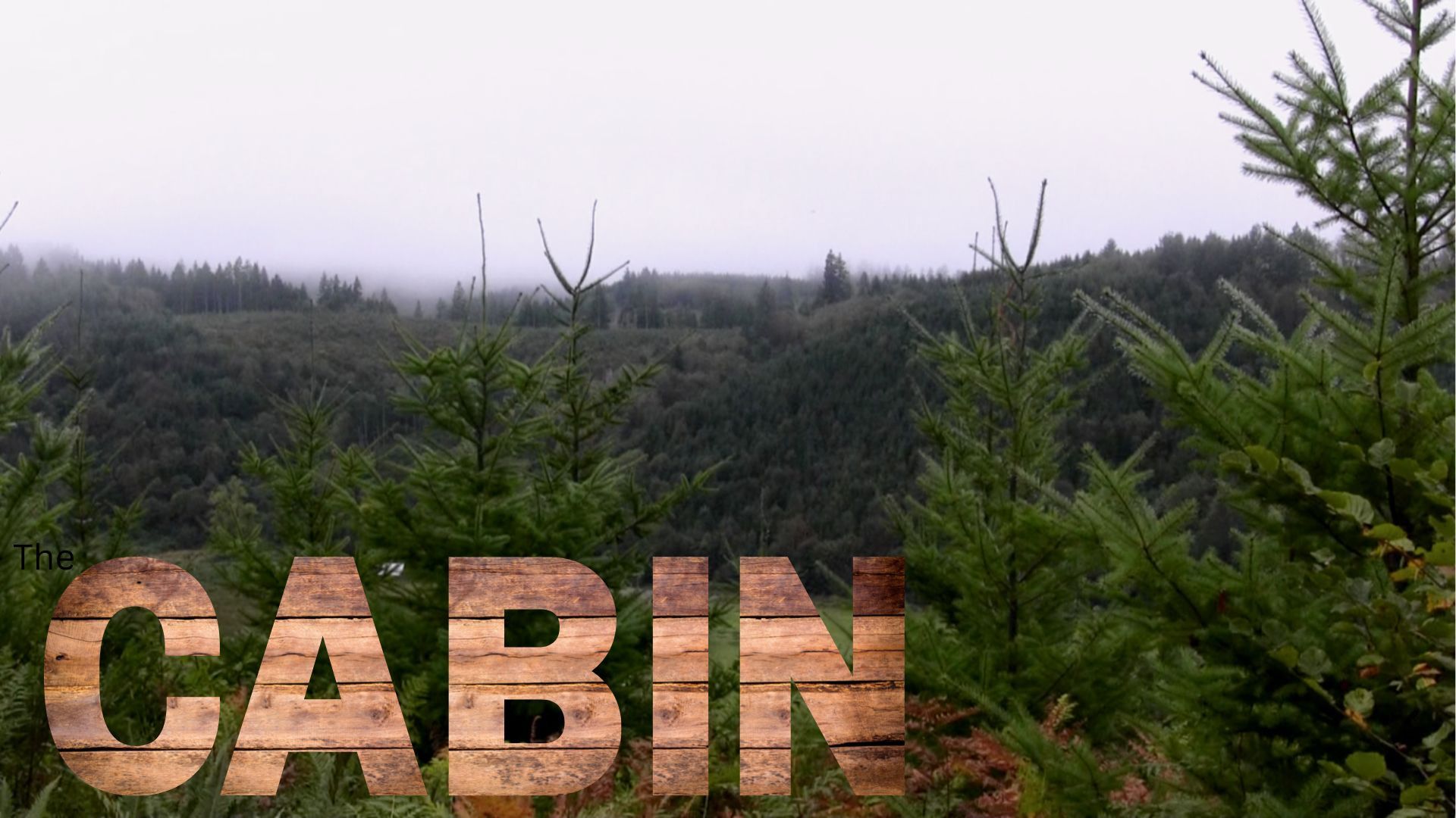 The Cabin background