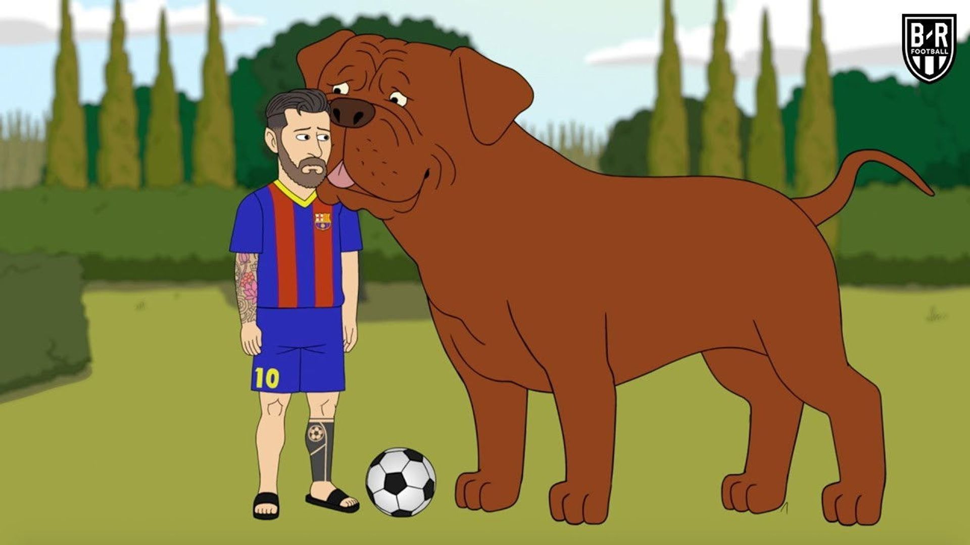 The Champions background