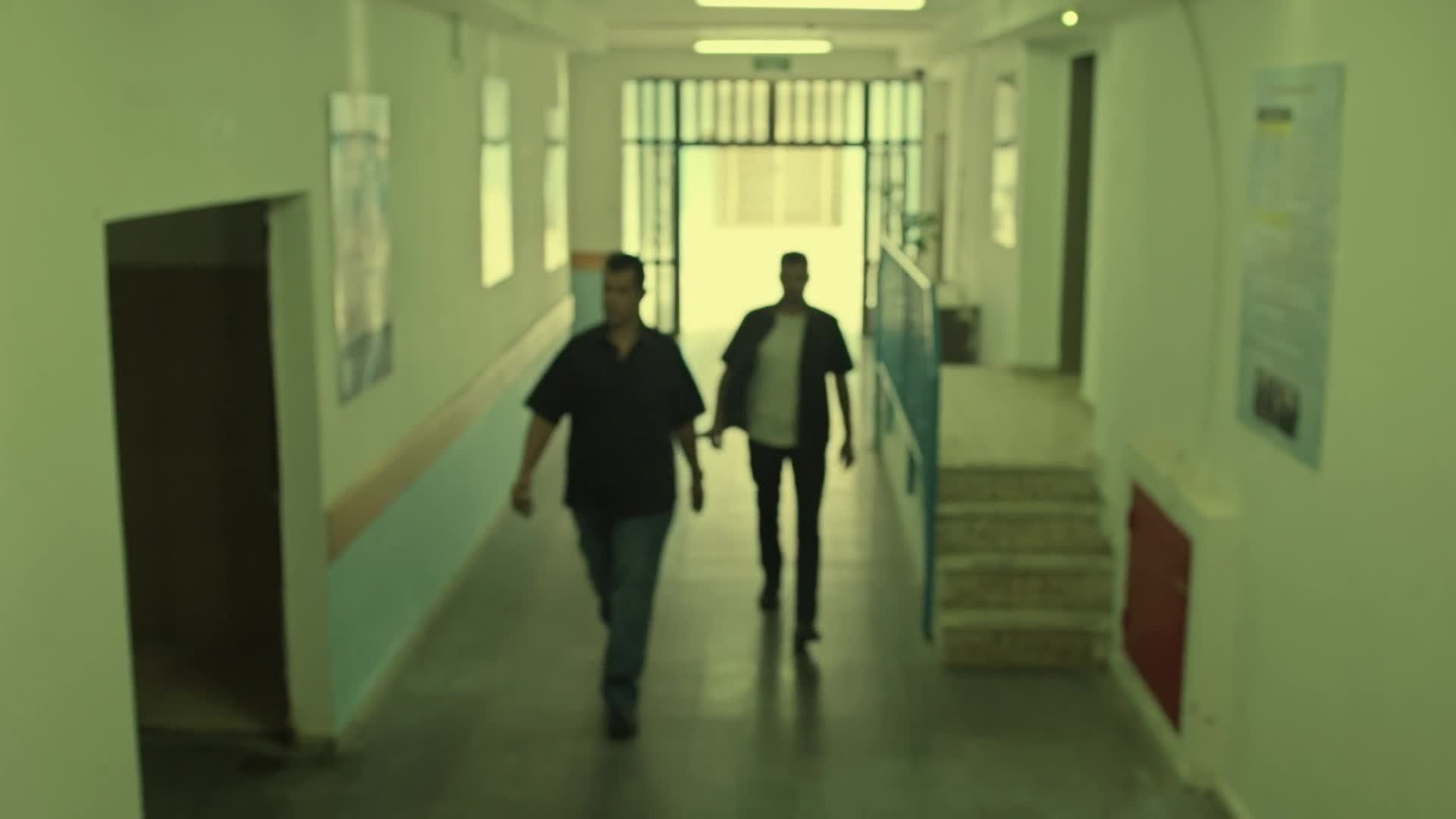 Fauda background