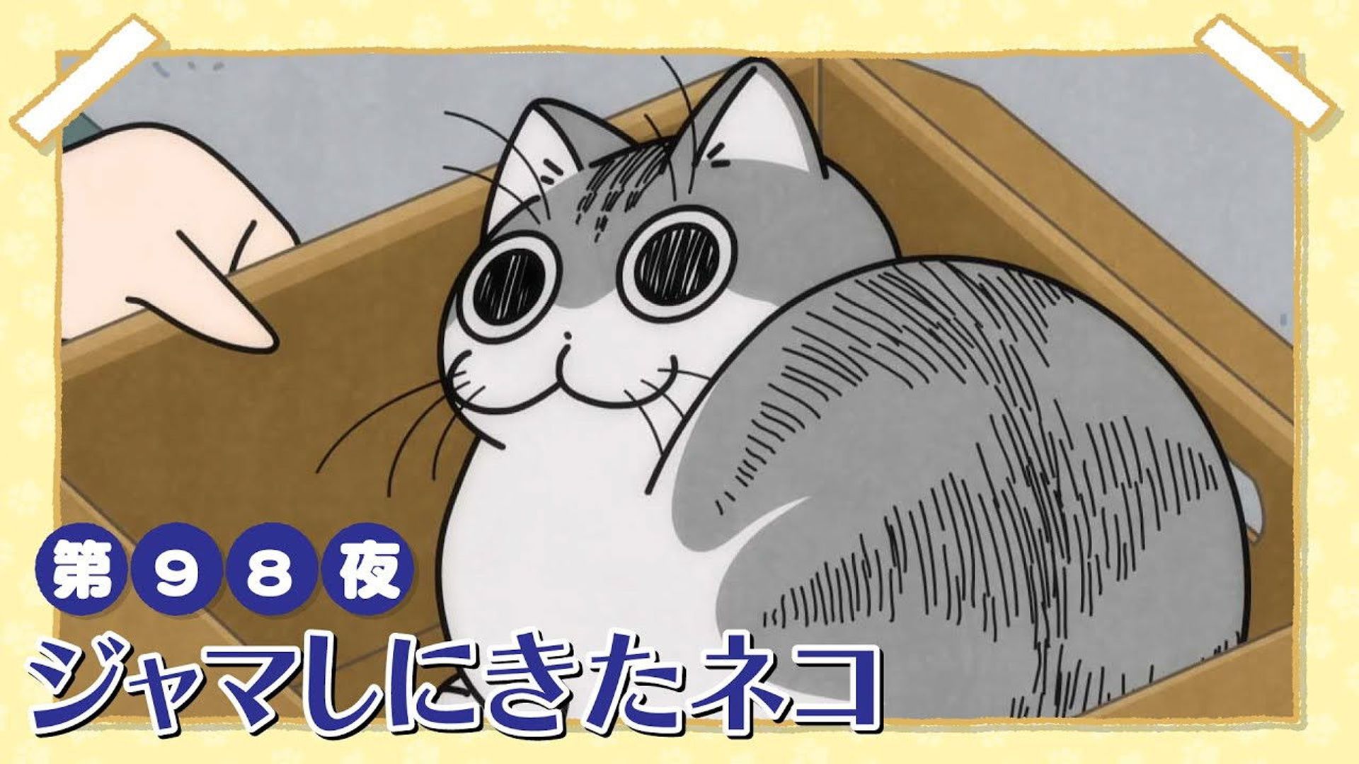 Yoru wa Neko to Issho background