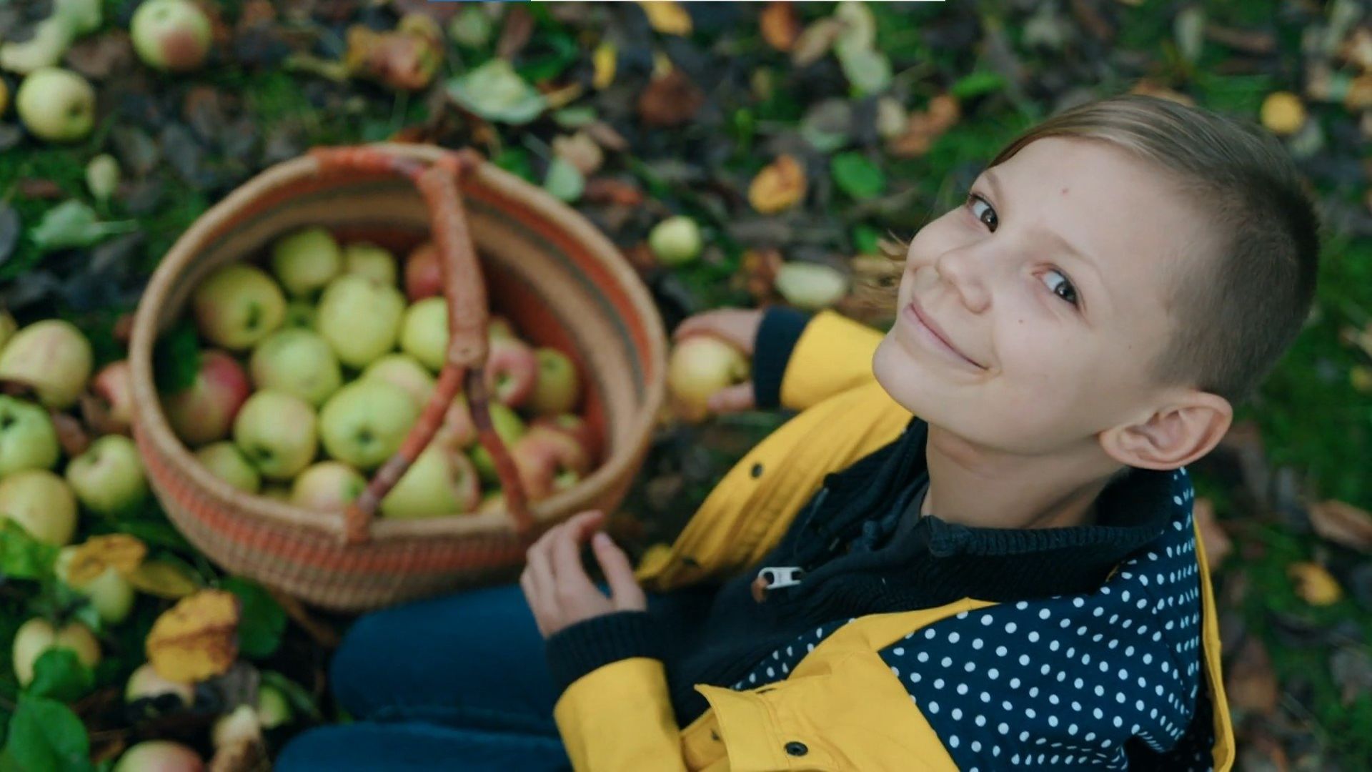 Die Sendung mit dem Elefanten background