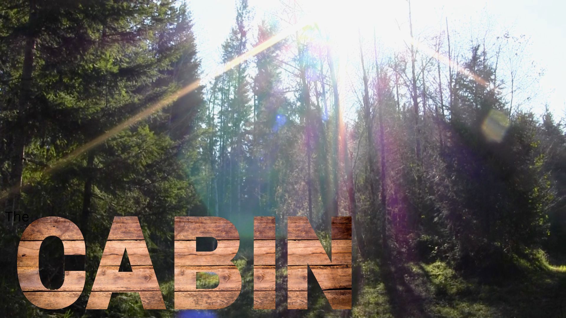 The Cabin background