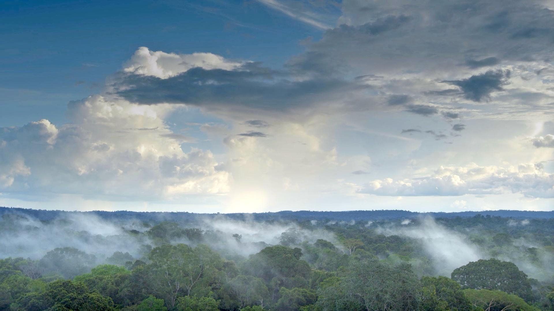 H2O: The Molecule That Made Us background