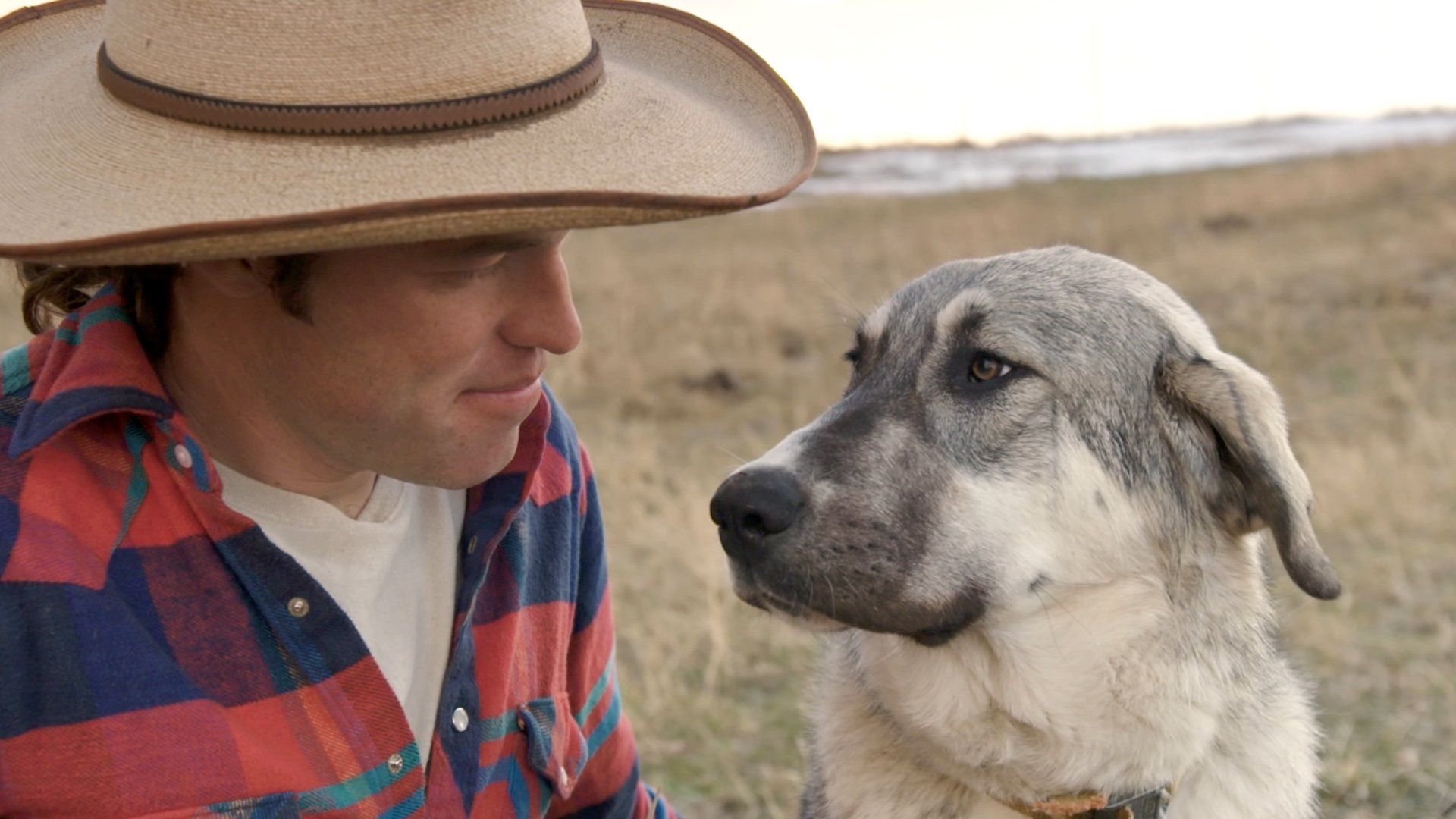 Man, Woman, Dog background