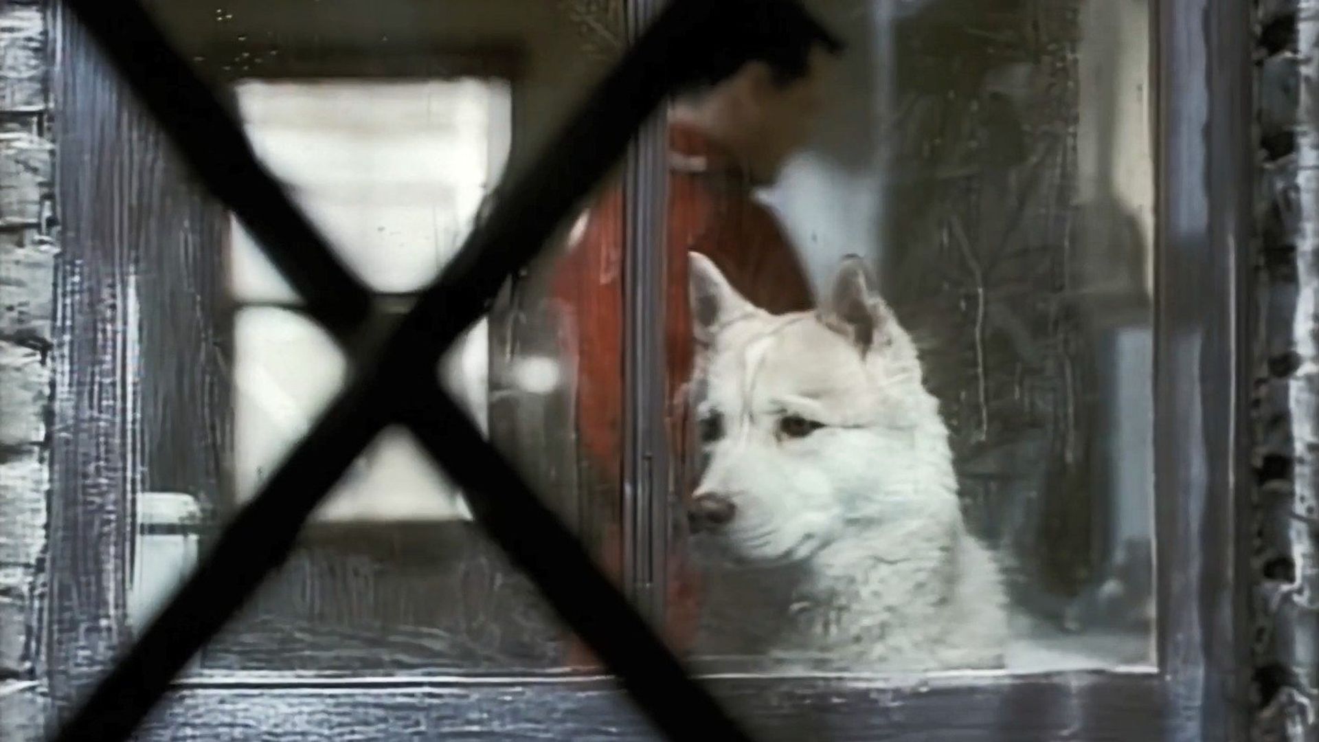Due South background