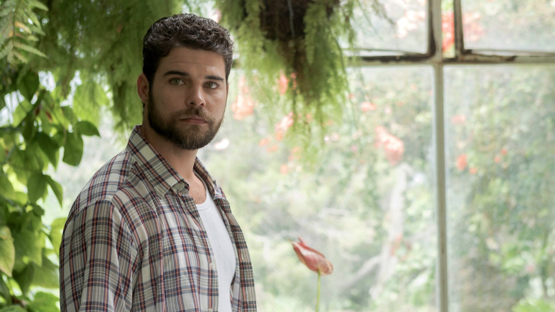 Four Seasons in Havana background