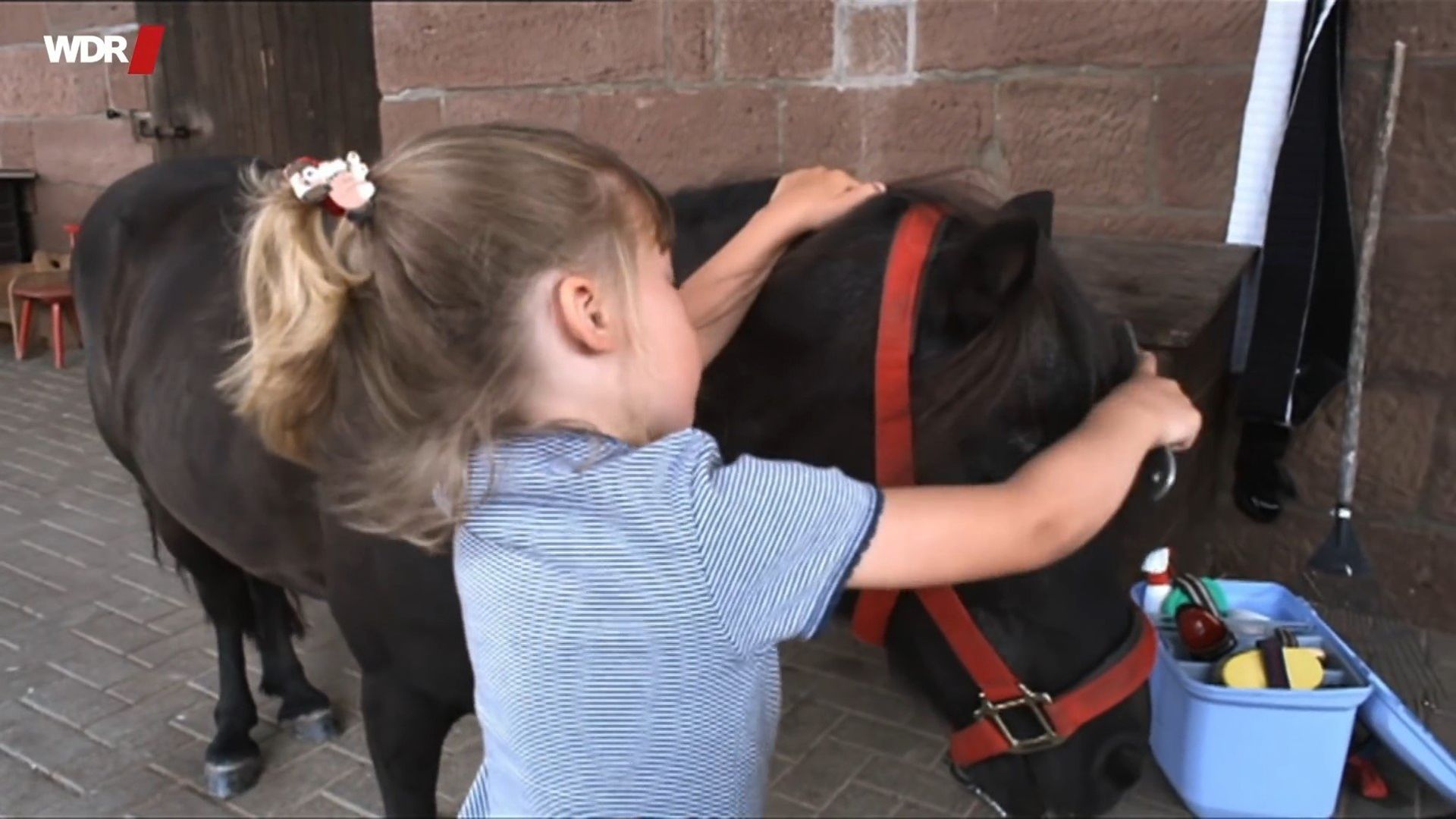 Die Sendung mit dem Elefanten background