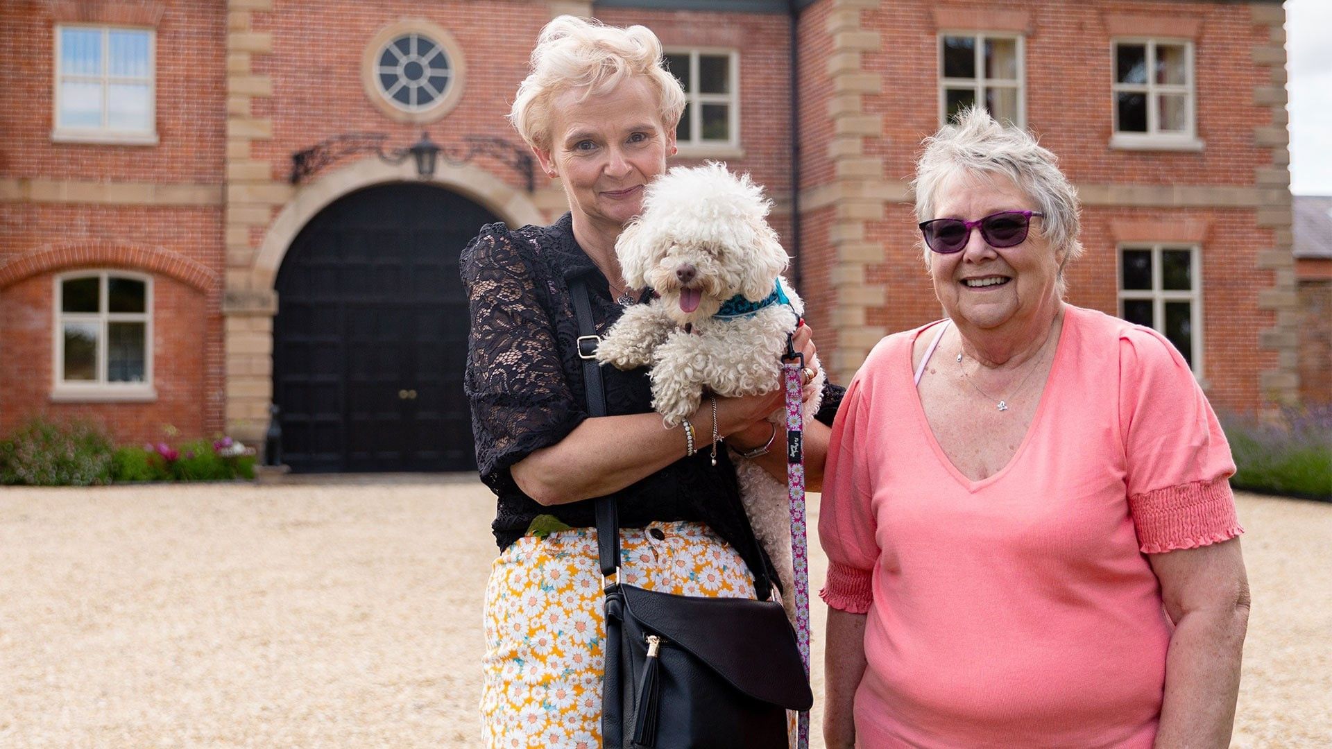 The Dog Academy background