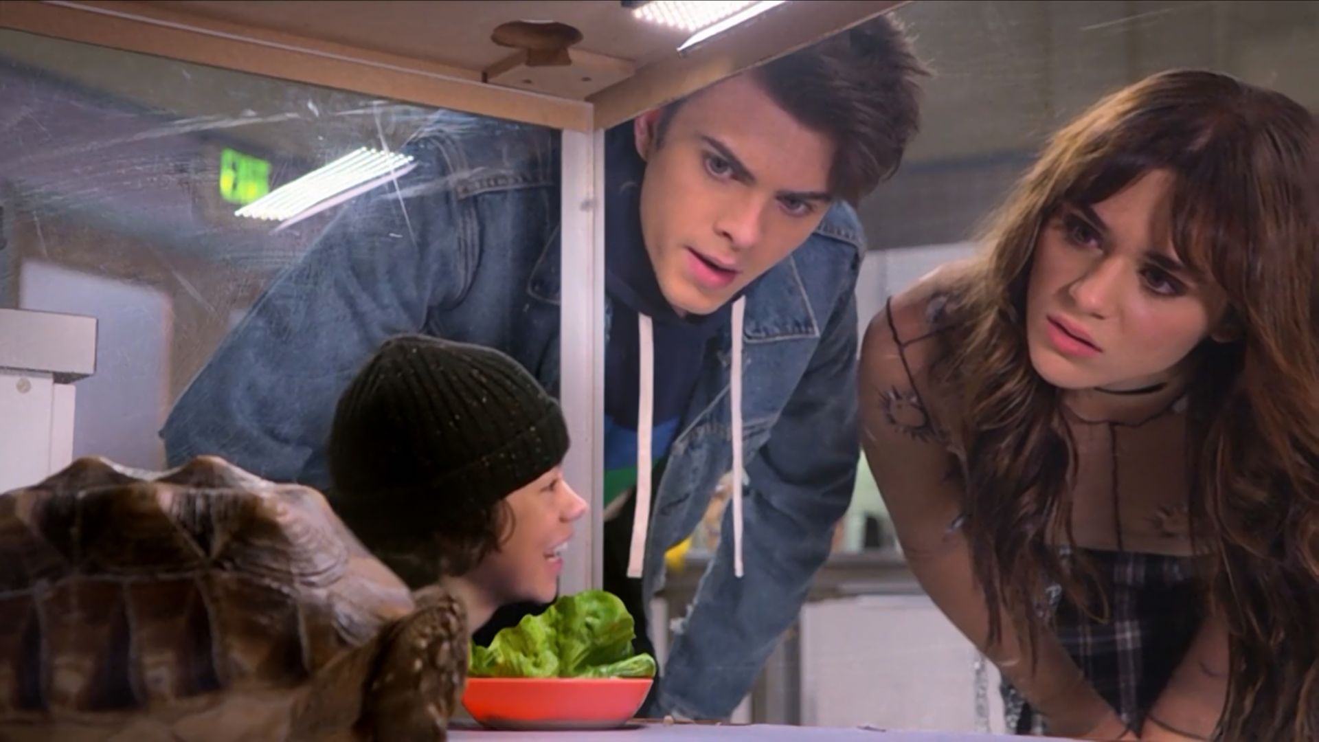 The Villains of Valley View background