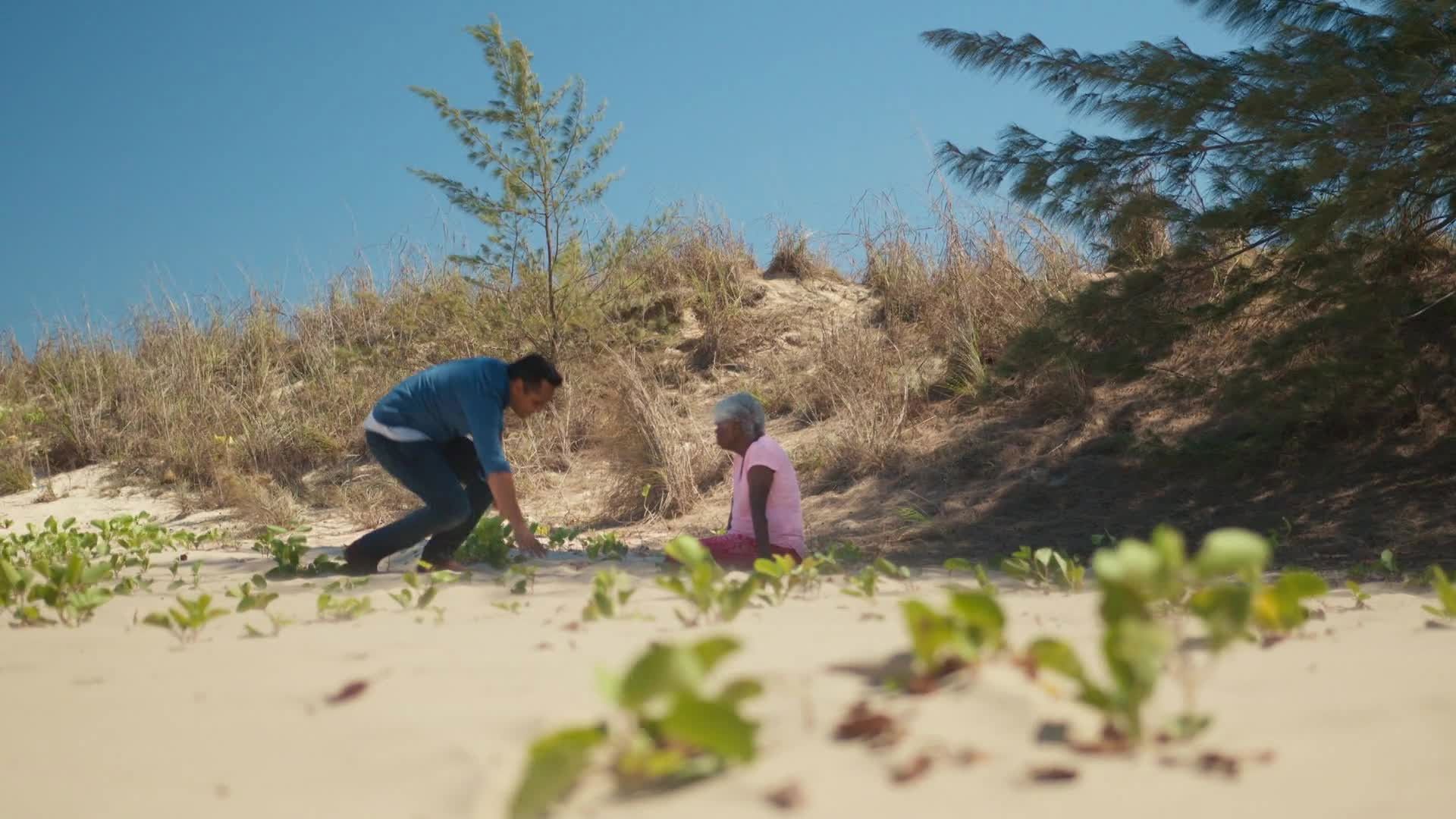 The First Inventors background