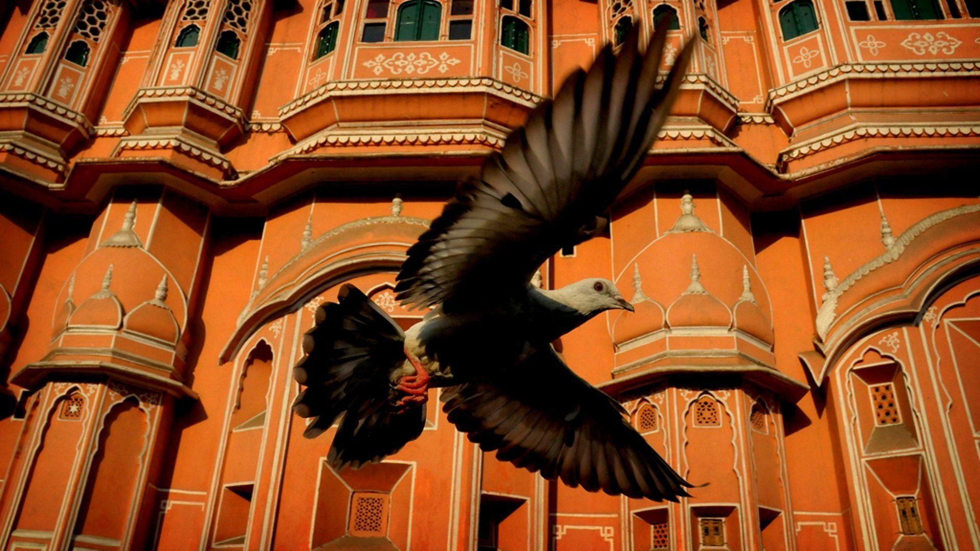 Earthflight background
