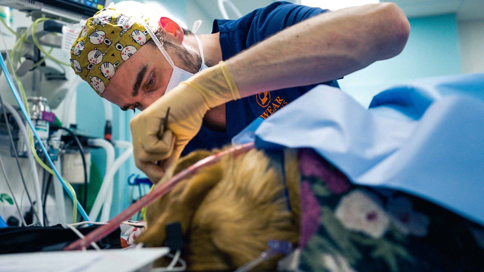 24/7 Pet Hospital background