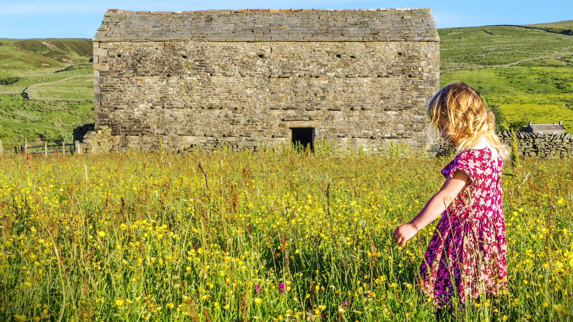 Our Yorkshire Farm background