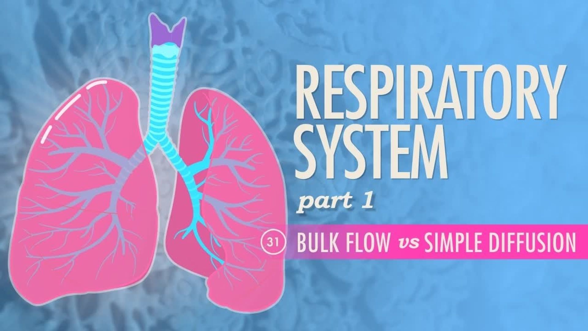 Crash Course: Anatomy & Physiology background