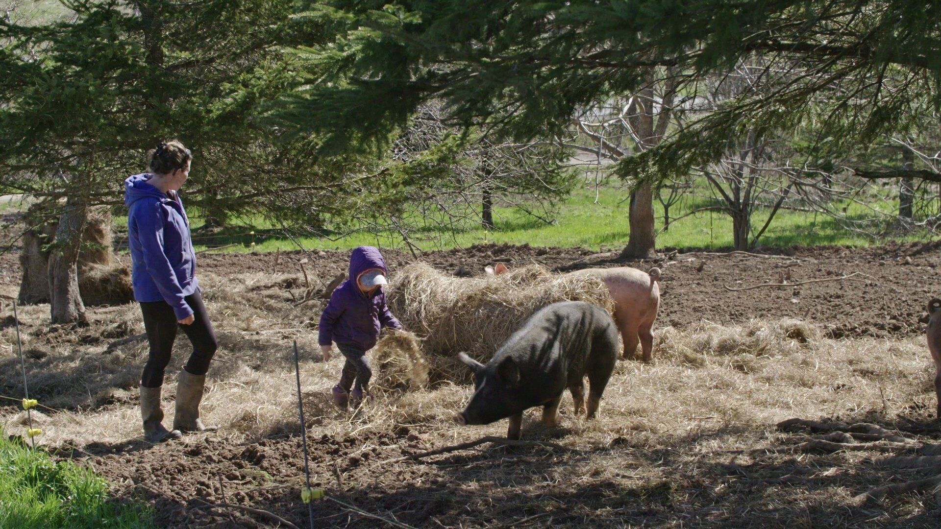 Farm Crime background
