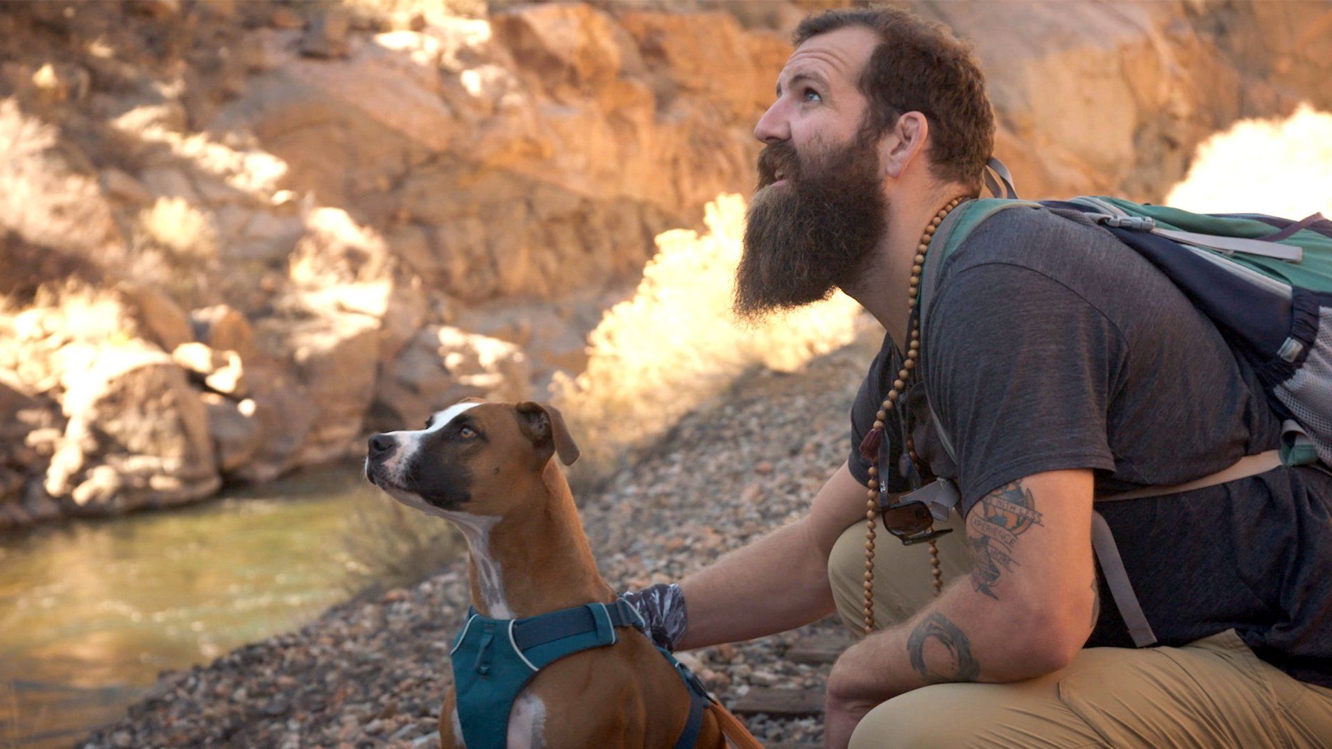 Man, Woman, Dog background