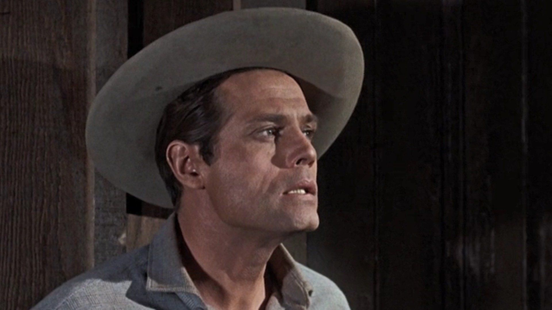 Bonanza background