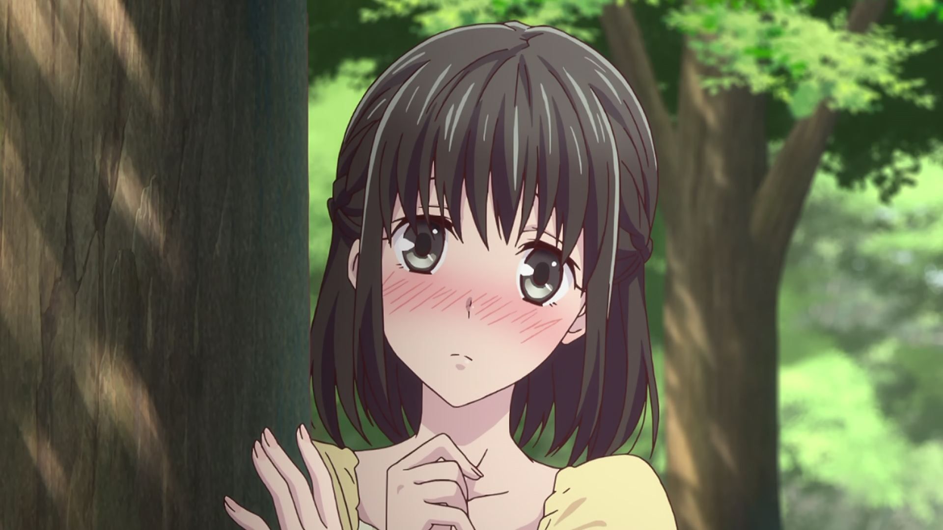 Fruits Basket background