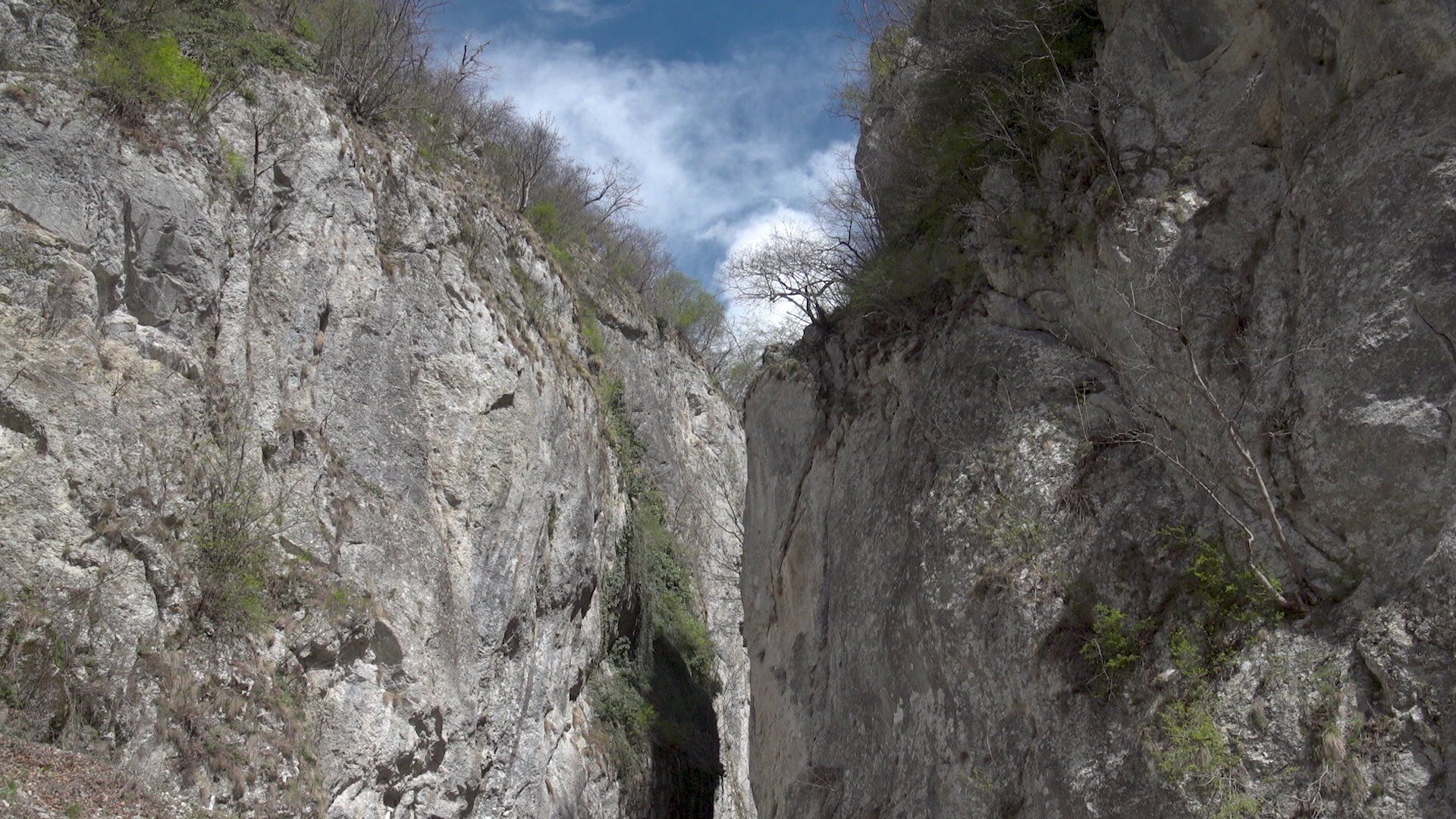 Flavours of Romania background
