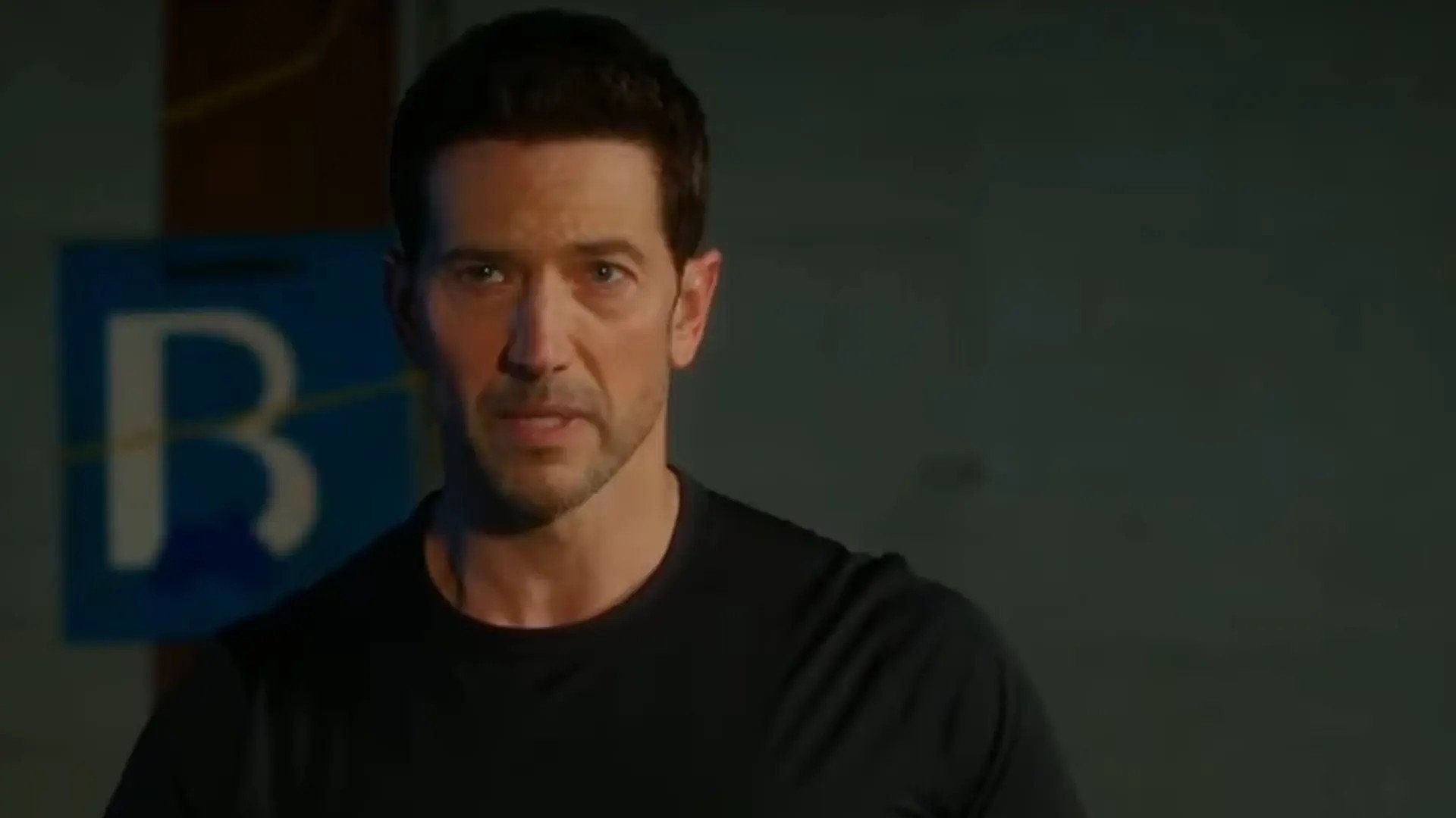 Hudson & Rex background