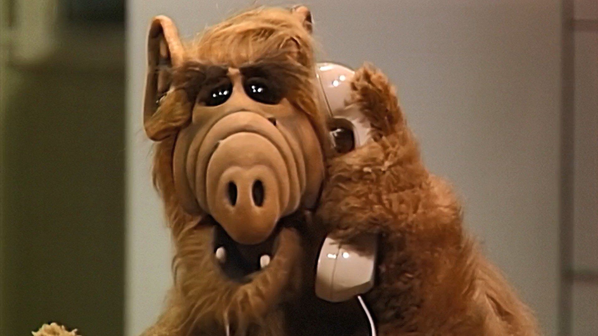 ALF background