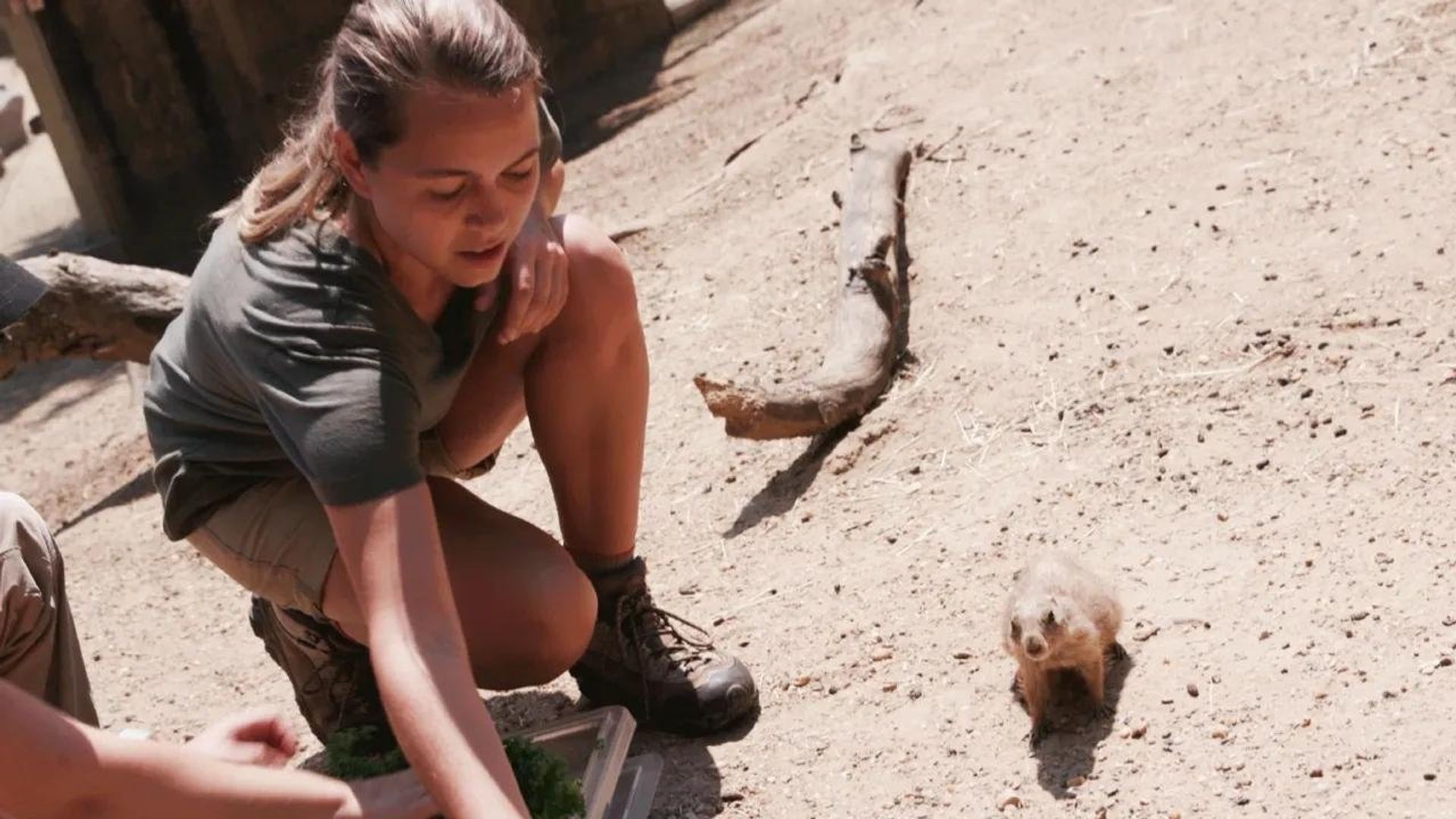 Sam's Zookeeper Challenge background