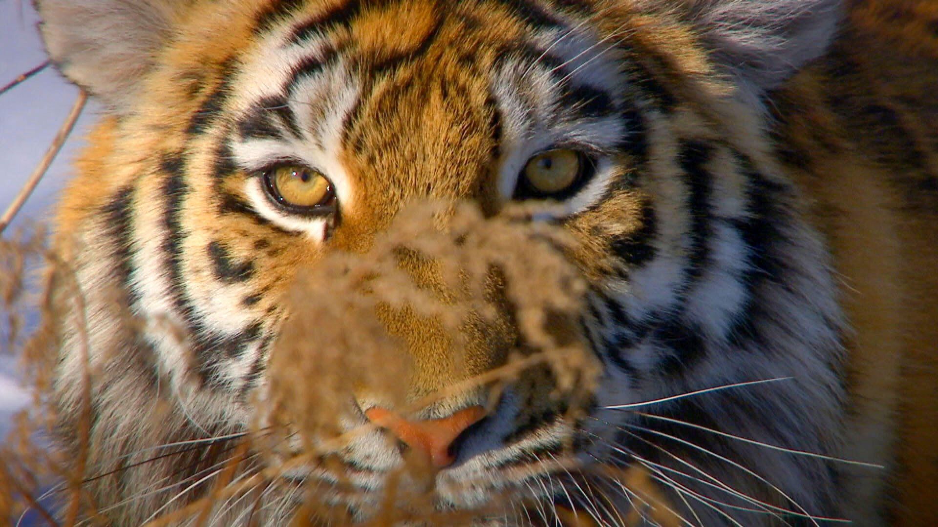 Our Wild Adventures background