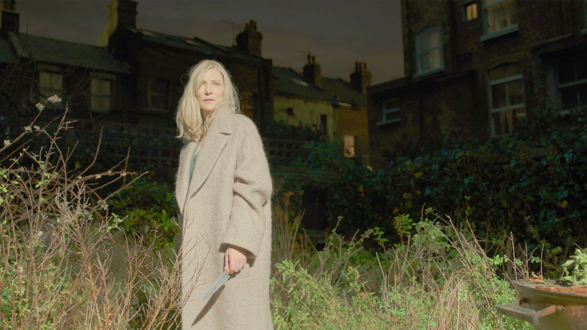 Disclaimer background