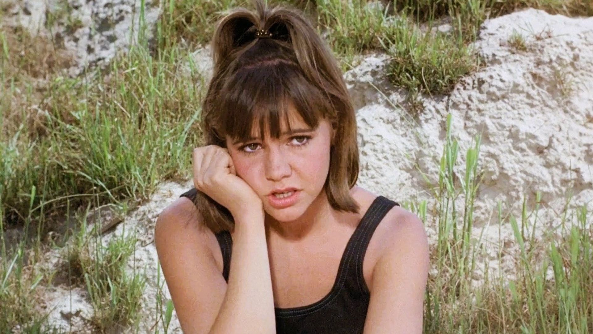 Gidget background