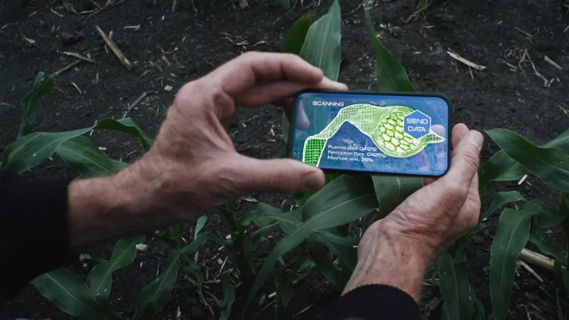 Dream the Future background