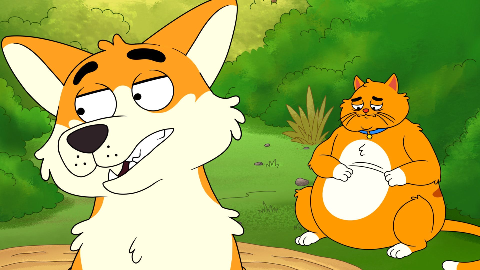 HouseBroken background