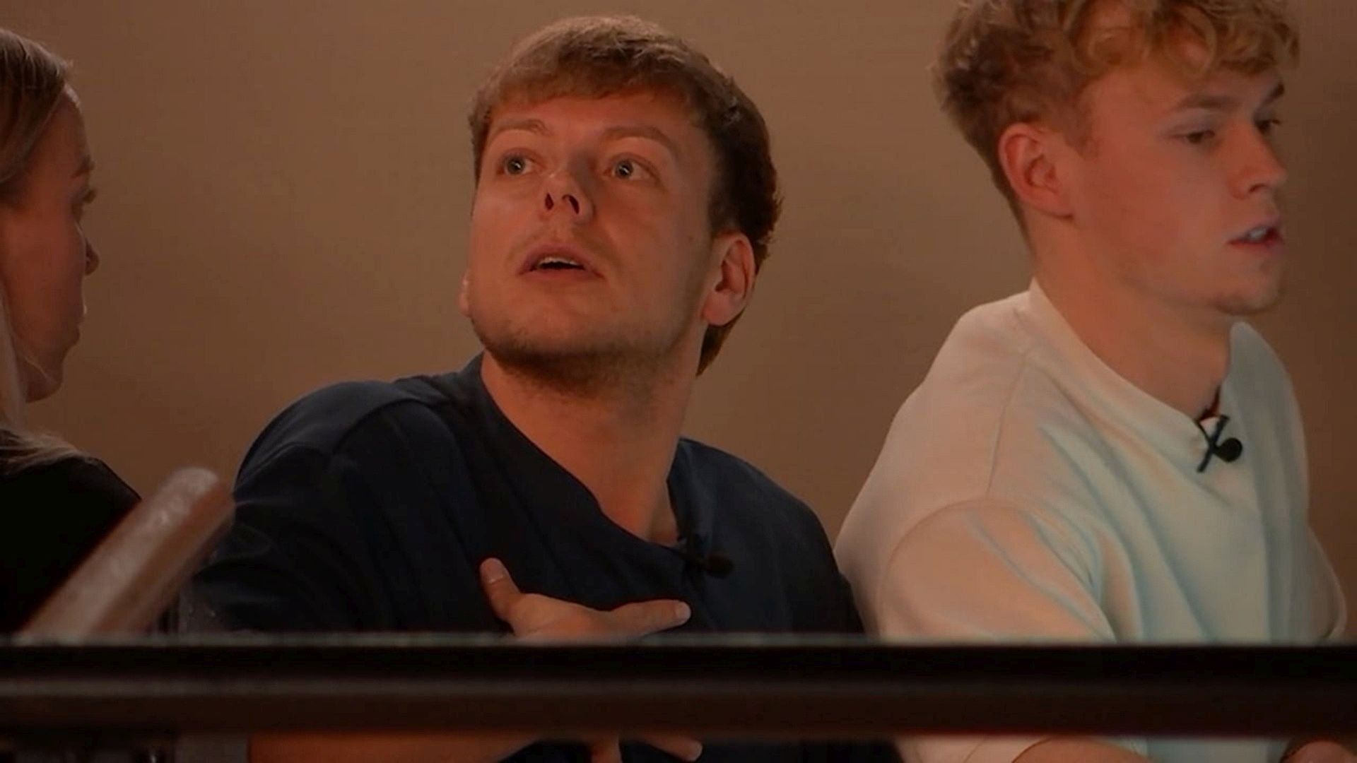 De Bondgenoten background