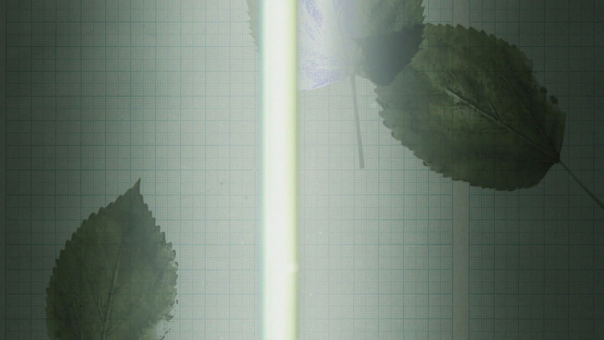 One Deadly Mistake background