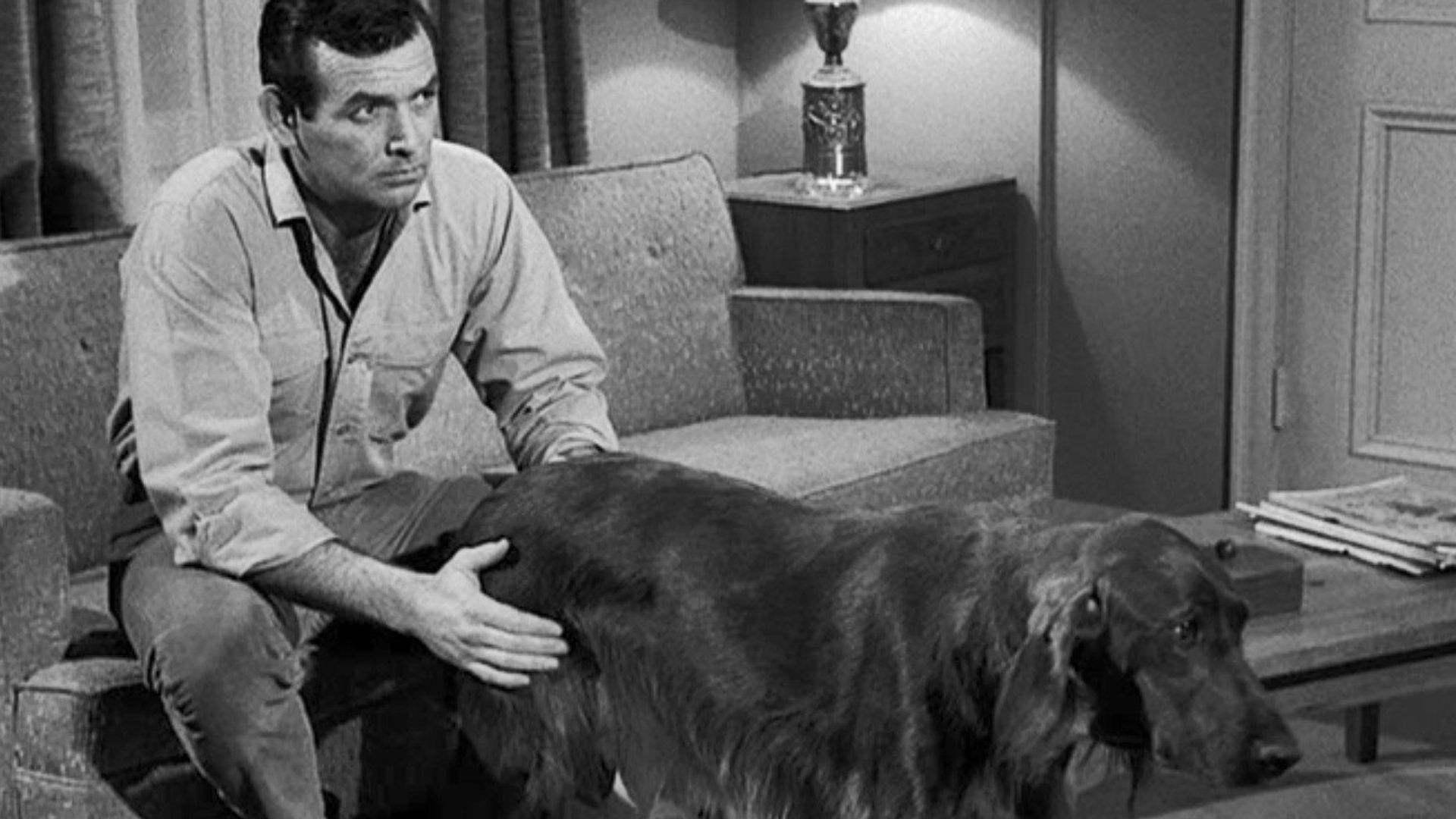 The Fugitive background