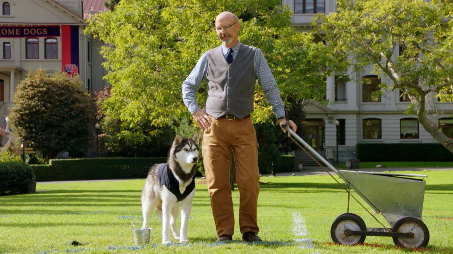 Pup Academy background