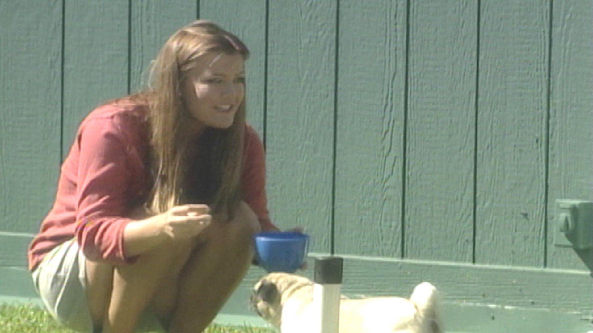 Big Brother background