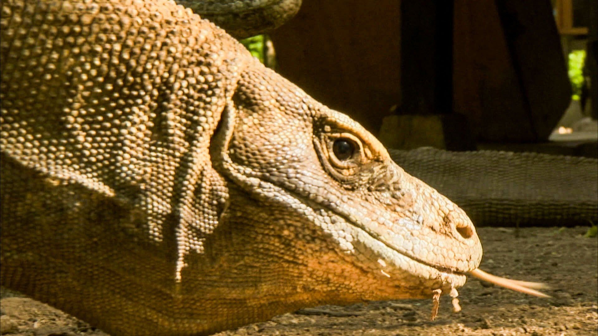 Our Wild Adventures background