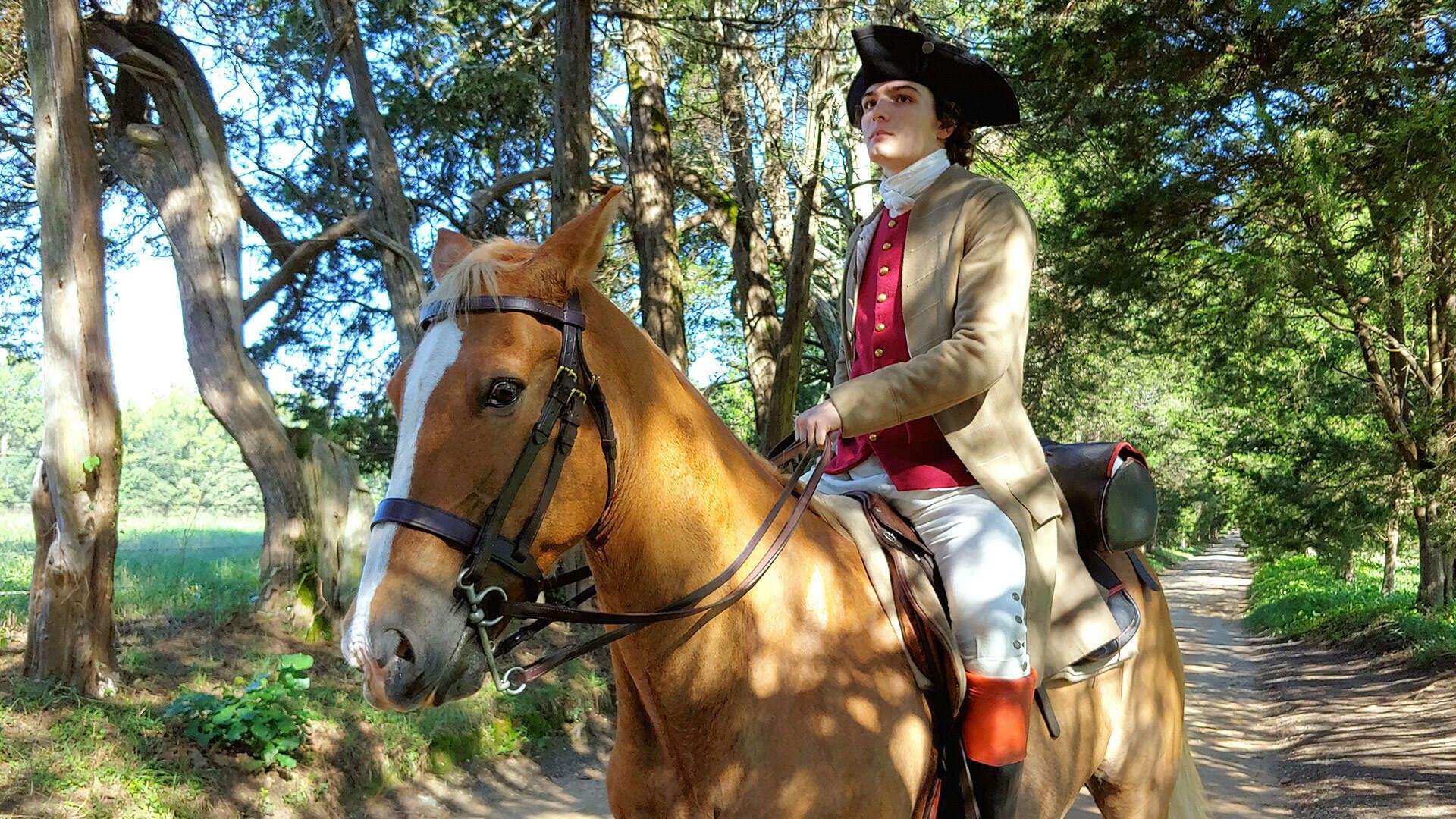 America's Hidden Stories background