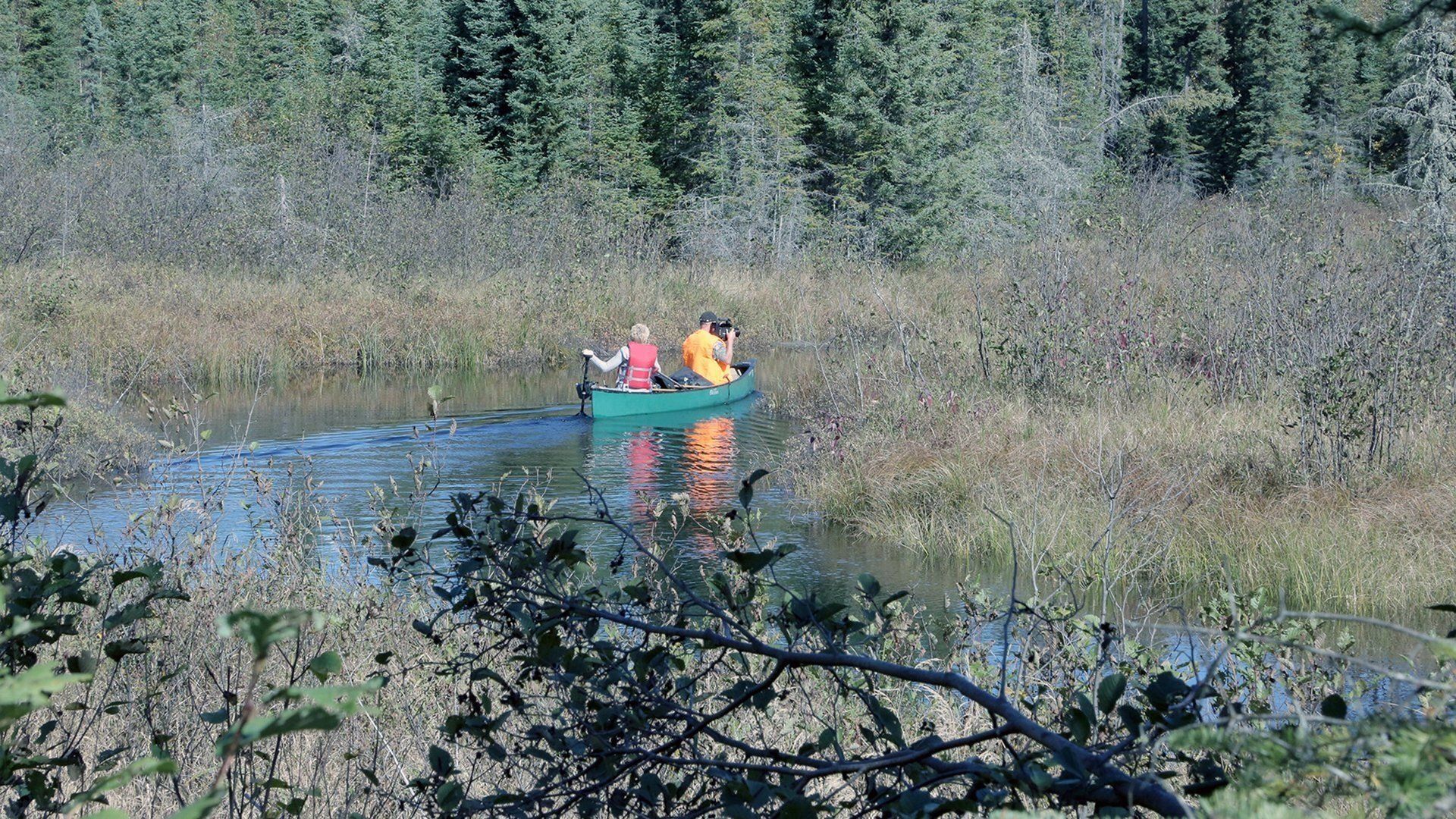 Wild Mississippi background
